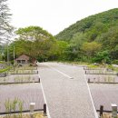 성수산 왕의숲 국민여가캠핑장 이미지