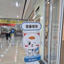 (주)펫스테이션 | 수영역의 새로운 명소, 부산 애견동반이 가능한 광안동 펫스테이션 방문 후기