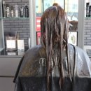 미엘헤어 이미지