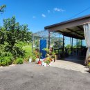 올레막국수 이미지