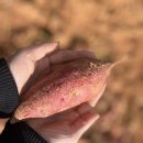 해찬농장 이미지