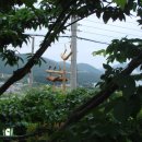 카올린펜션 이미지