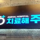 금천동물병원 이미지