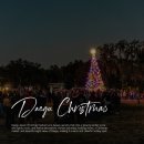 26470-01-21-365 | 대구 겨울 가볼만한곳 2025 앞산 크리스마스 축제 기본정보