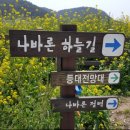 추자교량 이미지