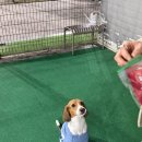 삼학사로2길 이미지