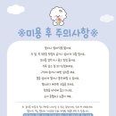 아름답개 이미지