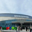 원주종합체육관 다목적경기장 | 원주 DB프로미 아레나 농구 직관 후기 / 빅토리존 204구역 4열 시야