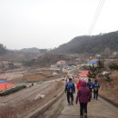고향마늘