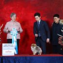 LOVELY POM 이미지