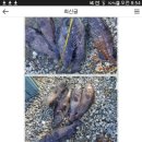 등대바다낚시터 이미지