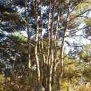 봉무공원 주차장 이미지