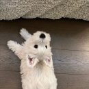본마트 이미지