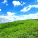 한우목장 이미지