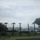 1971카페