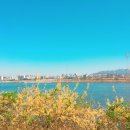로이드(LLOYD)