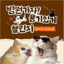 마이브라운 다이렉트 가입 솔직 후기 / ‘병원가자 용기있게’ 캠페인과 함께 알아본 마이브라운 펫보험...