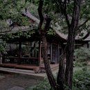 더리미미술관 | 분위기 깡패 전국 한옥 카페 베스트 3