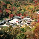 뉴황토펜션 이미지