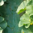 윤희농장 이미지