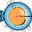 건강&수정 이미지