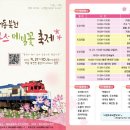 더 코스모스