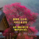 남원지리산공인중개사사무소 | [공지] (투자자모집)지리산. 화엄사. 구례 명품 토지 (다용도 개발가능. 안정된 고수익)
