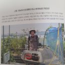 다산팜 이미지