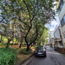 박인석공인중개사사무소 이미지