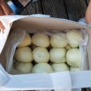 안흥면사무소 이미지