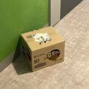 호호아이 | 오리온 신제품 호호감자크래커 편의점마트 신상과자 후기, 아이 간식 추천