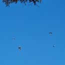 하남공원1 이미지