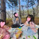 부산시민공원 카페테리아 이미지