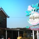 금산홍삼마을 - 금산군 태실길 15 | 금산홍삼마을