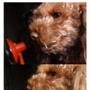 만남의 광장휴게소 이미지