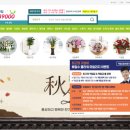 배철수 플라워