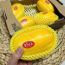 보화농장 | 맛있는 성주참외 보화농장 꿀참외 전국택배 후기