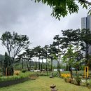 태영단지내공인중개사사무소 이미지