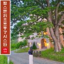 여권없이 떠나는 해외 감성 영월 숙소, 탑스텐 리조트 동강시스타