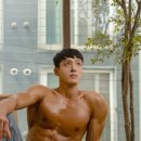 피티바디 이미지