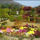 국화향기펜션 이미지