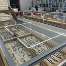 으뜸50안경 인천길병원점 이미지