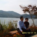 500065 Daum카페
