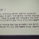 맨지기 치킨 이미지