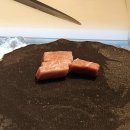 그랜드키친 이미지