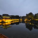 사직프라자대중목욕탕 | 경주 시내 가볼만한곳 8곳 총정리 | 당일치기 여행코스 완벽 가이드