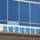 퇴계원로6번길29 | 울산 아이랑 가볼만한곳 고래박물관 미끄럼틀 29개월 아기 실내코스 후기