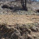 율리농장 이미지