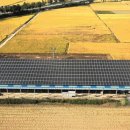 운산 태양광발전소 이미지