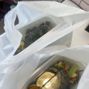 거북이김밥:느림의미학